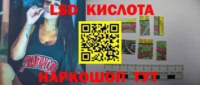 PSILOCYBIN Бугуруслан