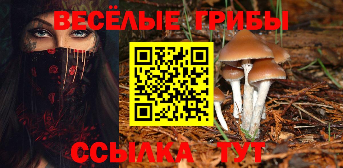 Псилоцибиновые грибы мицелий  Галлюциногенные грибы Psilocybe  Вход с VPN  Ноябрьск 